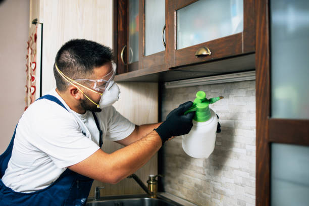 Best Best Pest Control Companies  in Glandorf, OH