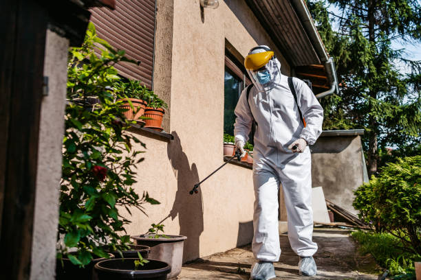 Insect Control in Glandorf, OH