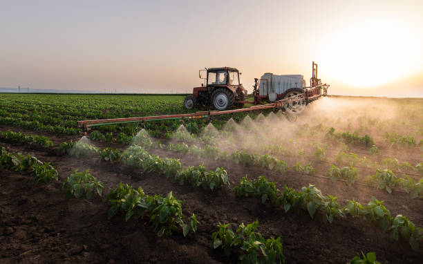 Best Mosquito Control Services  in Glandorf, OH