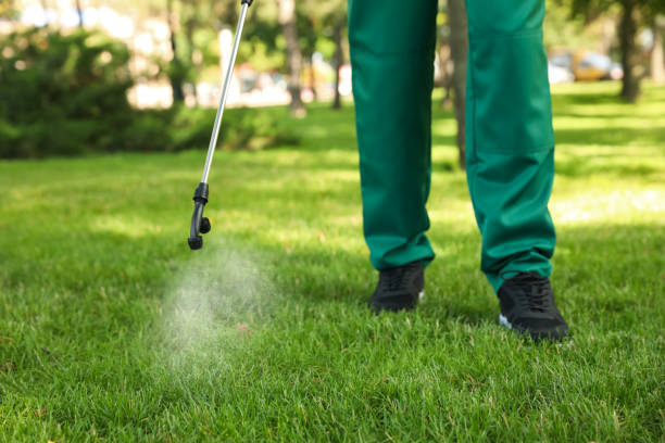 Best Pest Removal Services  in Glandorf, OH