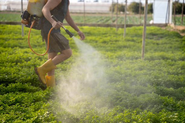 Pest Prevention Services in Glandorf, OH