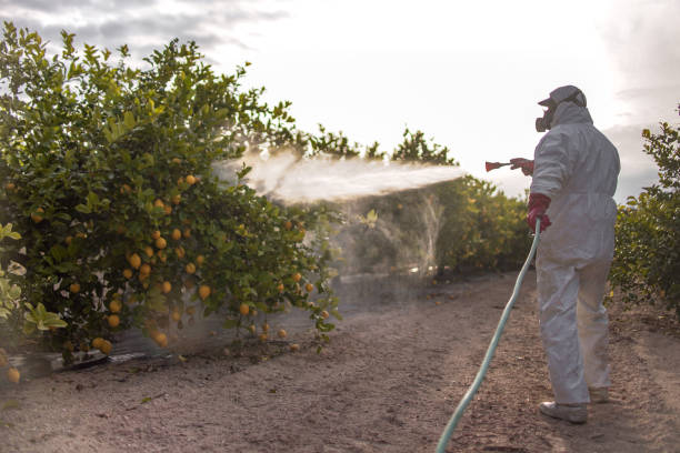 Best Commercial Pest Control Services  in Glandorf, OH