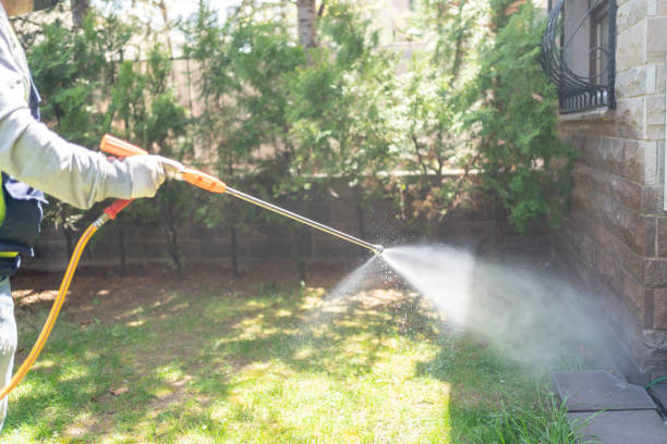 Best Best Pest Control Companies  in Glandorf, OH