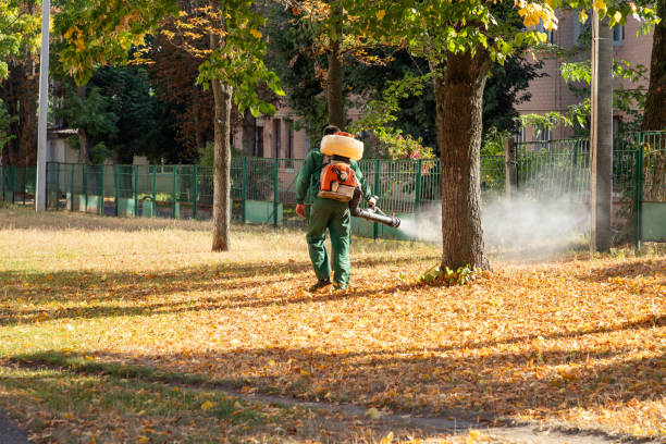 Best Pest Inspection Near Me  in Glandorf, OH