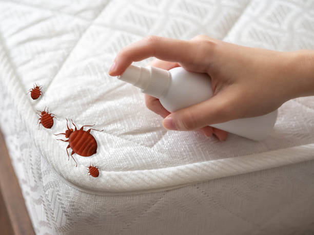  Glandorf, OH Pest Control Pros
