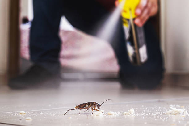 Trusted Glandorf, OH Pest Control Experts