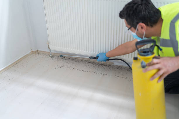 Best Pest Control Treatment  in Glandorf, OH